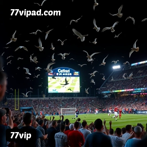 Imagem quadrada de apoio para baixar 77vip